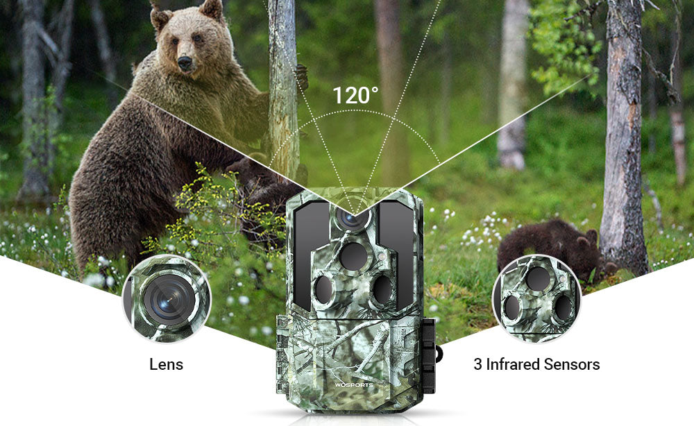 How Many Trail Cameras Are Needed for Large-Scale Land Monitoring?