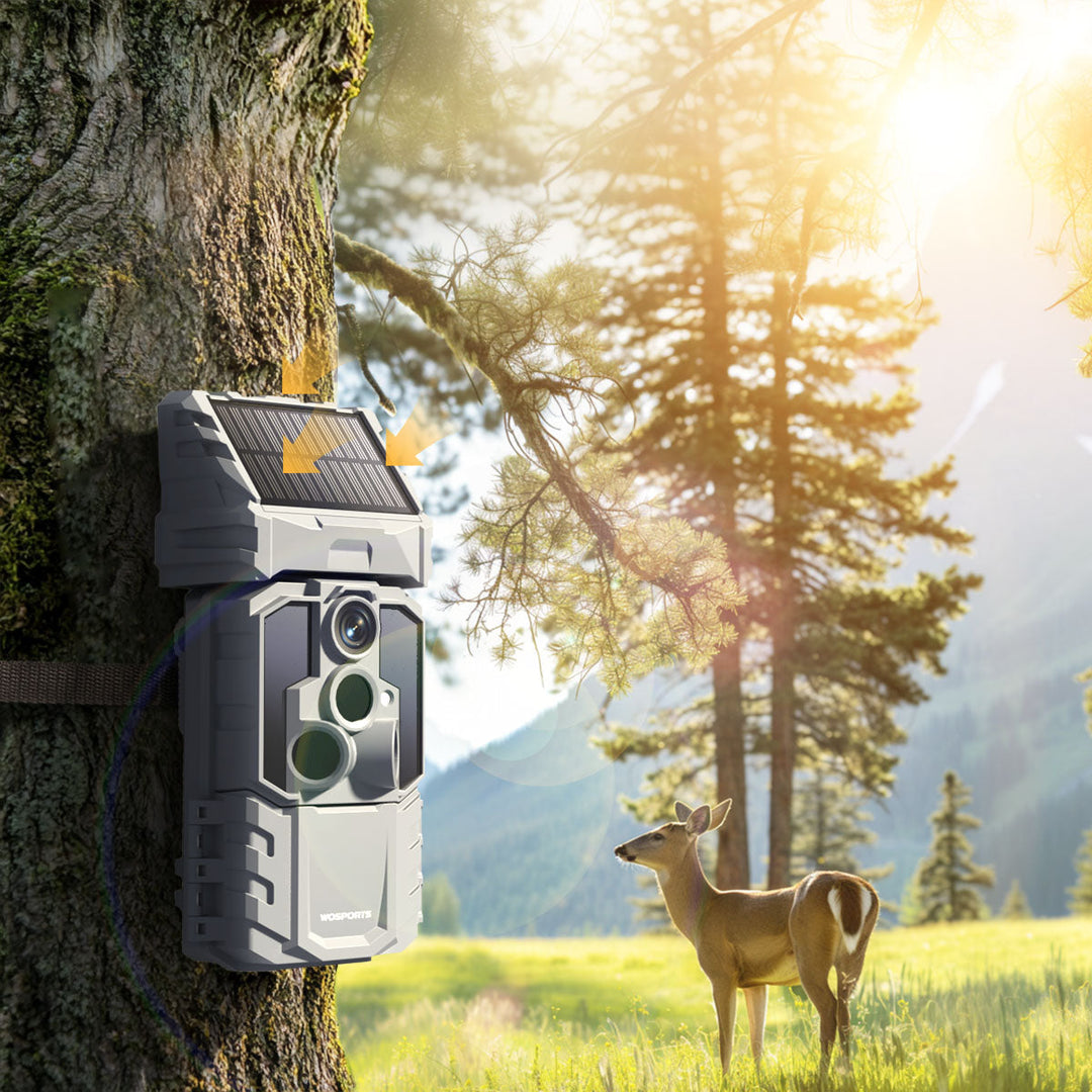 What is the Best Trail Camera Setup for Farm Monitoring and Property Security?