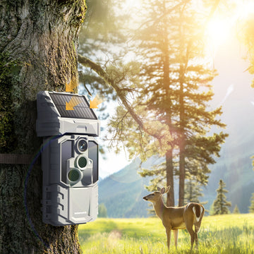 What is the Best Trail Camera Setup for Farm Monitoring and Property Security?