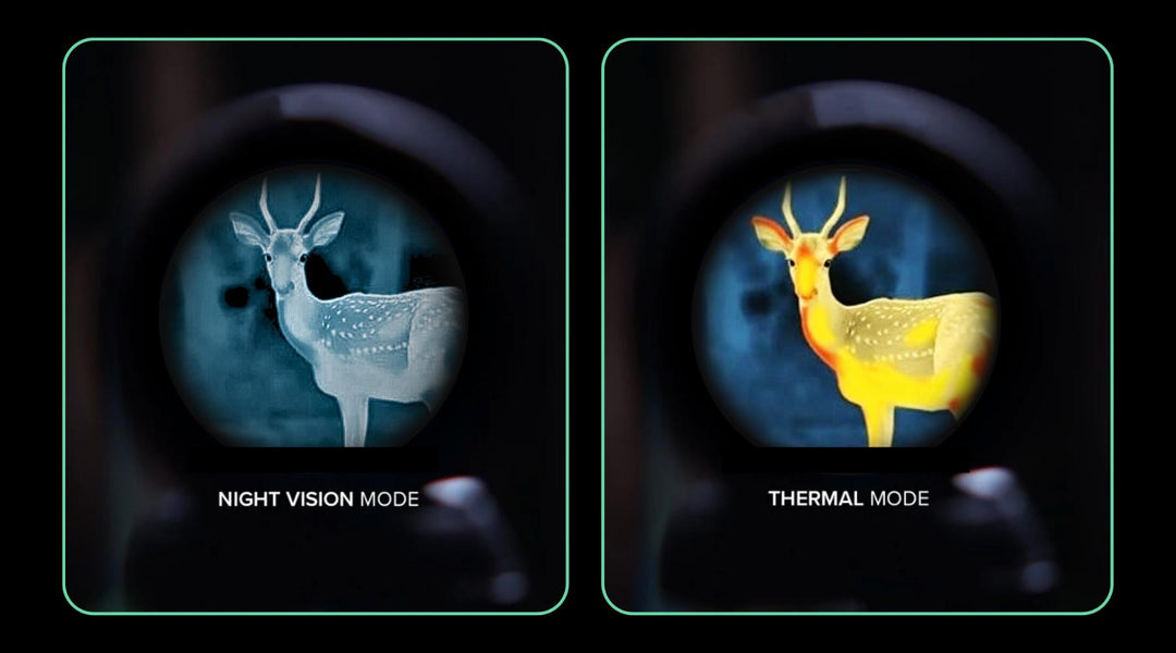 Night Vision vs Thermal Imaging