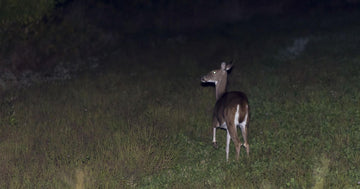 Affordable Night Vision Without Compromise