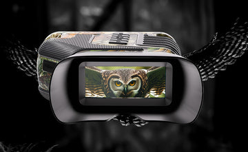 Which Night Vision Binoculars Are Best for Long-Range Wildlife Observation?