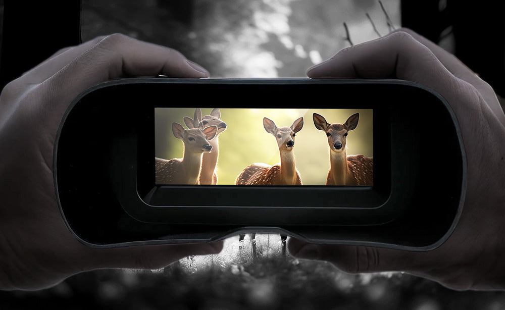 Which Night Vision Binoculars Are Best for Outdoor Surveillance?