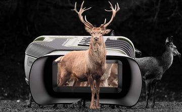 Which Night Vision Binoculars Are Best for Long-Range Wildlife Observation?
