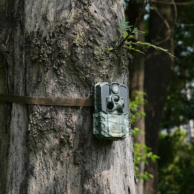 How to Aim Your Trail Camera for Perfect Shots