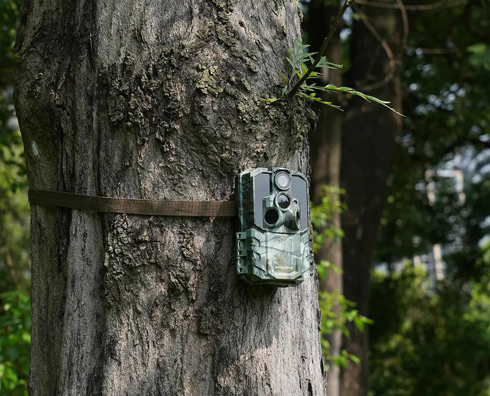 How to Aim Your Trail Camera for Perfect Shots