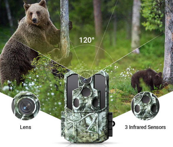 How to Angle a Trail Camera: Capture the Perfect Field of View