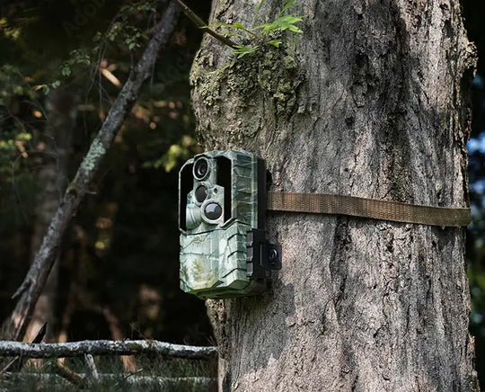 Which Trail Cameras Are Best for Monitoring Large Properties?