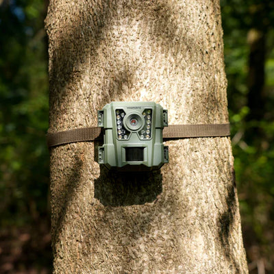 What is The Best Beginner Trail Camera Not Expensive?