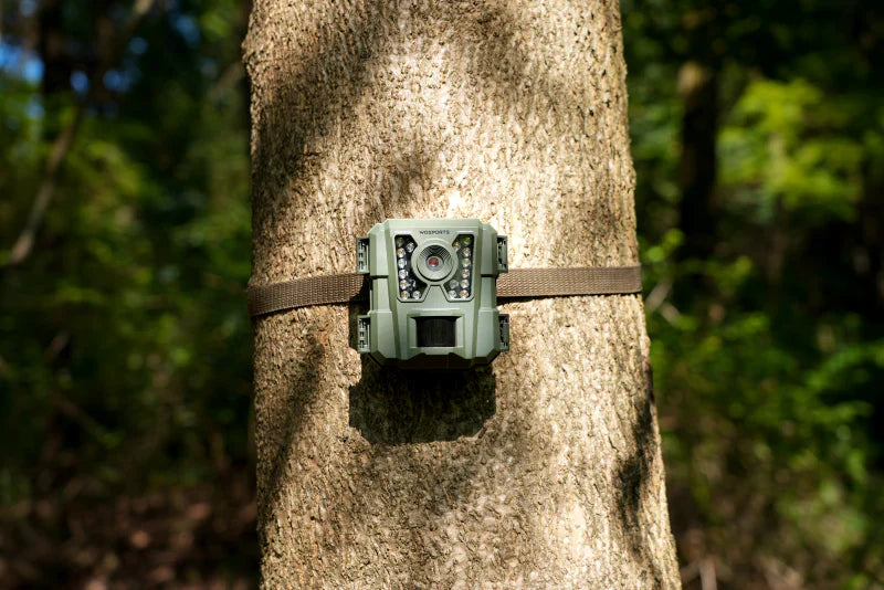 What is The Best Beginner Trail Camera Not Expensive?
