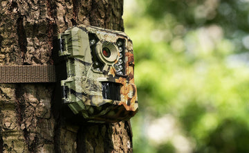How to Select a Reliable Trail Camera Supplier for Wholesale Sourcing?