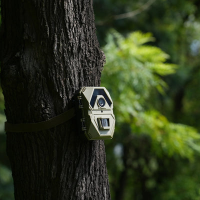 How Much Does It Cost to Bulk Order Trail Cameras