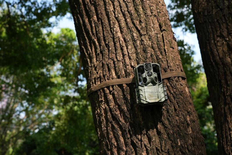 How to Do Quality Control in Bulk Trail Camera Orders