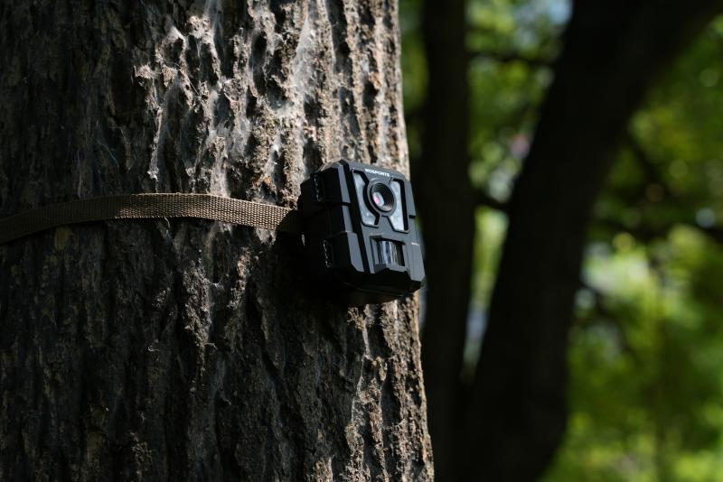 Common Mistakes in Bulk Trail Camera Procurement & How to Avoid It