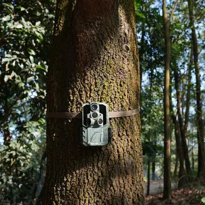 Buy Trail Cameras in Bulk - Wholesale Guide 2025