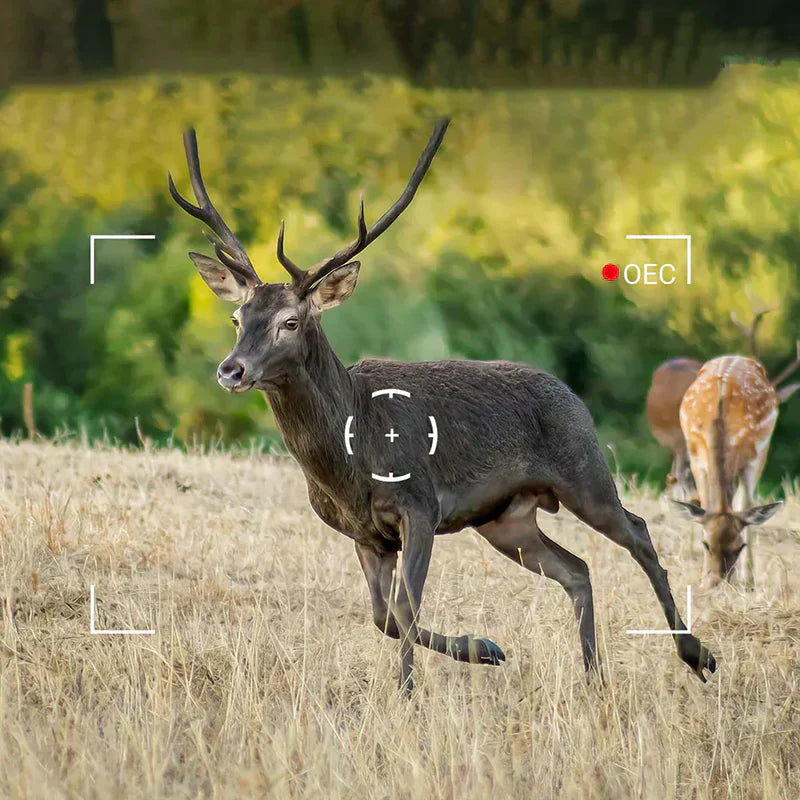 What are The Best Trail Camera Settings for Wildlife Photography?