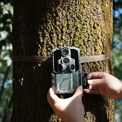 How Long Does It Take to Deliver Wholesale Trail Cameras?