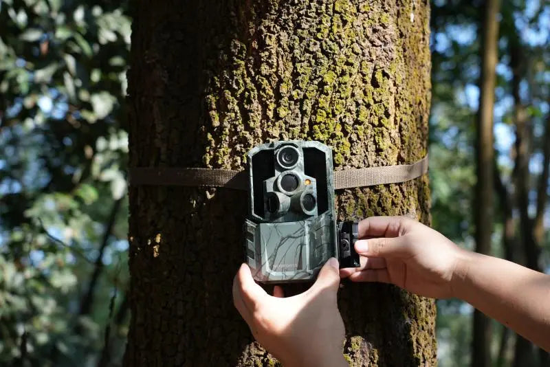 How Long Does It Take to Deliver Wholesale Trail Cameras?
