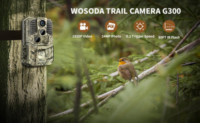 Unlocking the benefits of a trail camera with large viewing screen