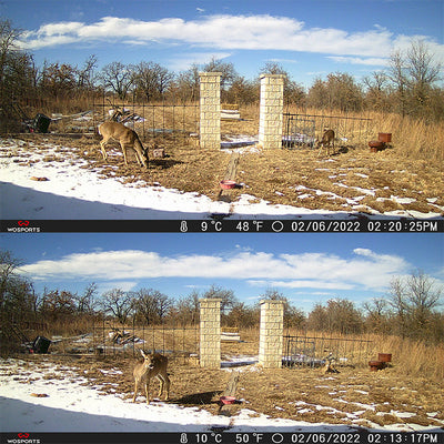 What is the Best Cell Camera for Hunting?