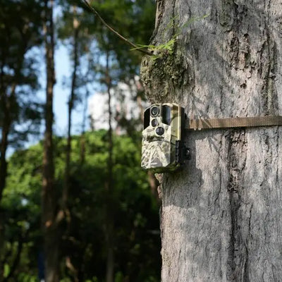 How to Source High-Quality Trail Camera Models at Scale