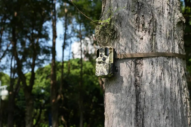 How to Source High-Quality Trail Camera Models at Scale