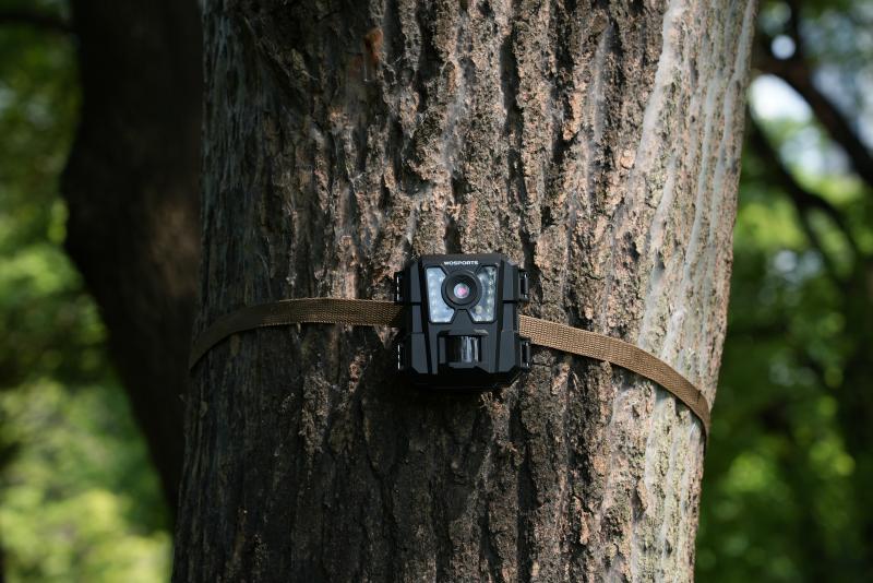 Wholesale Trail Cameras for the Holiday Season
