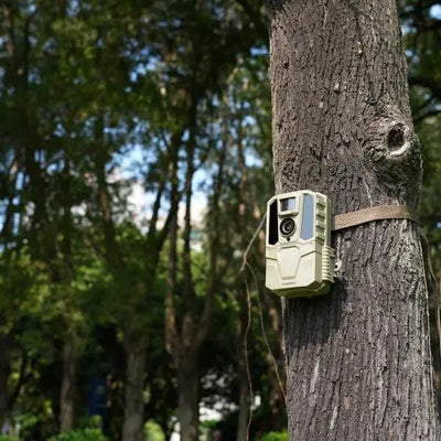 How Long Do Trail Cameras Last? [2025 Newest Guide]