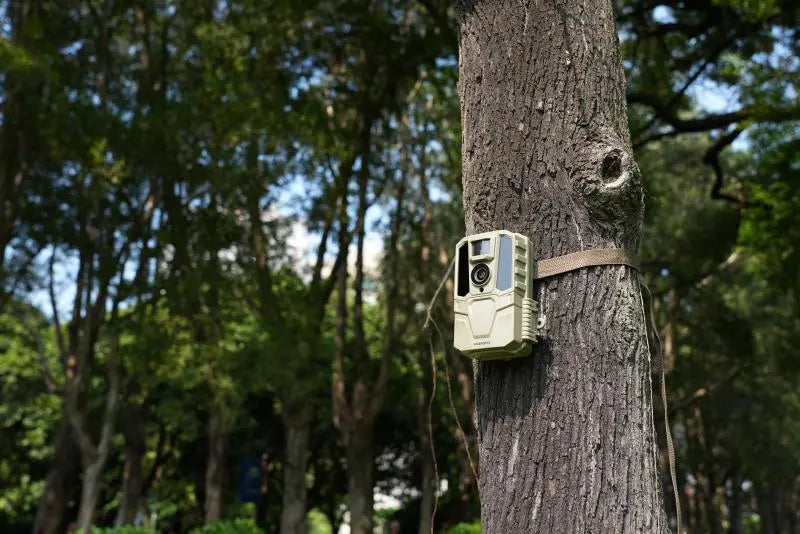 How Long Do Trail Cameras Last? [2025 Newest Guide]