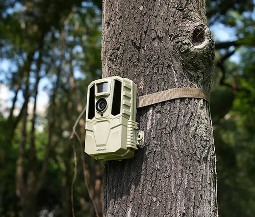 How Often Should I Check My Trail Camera?