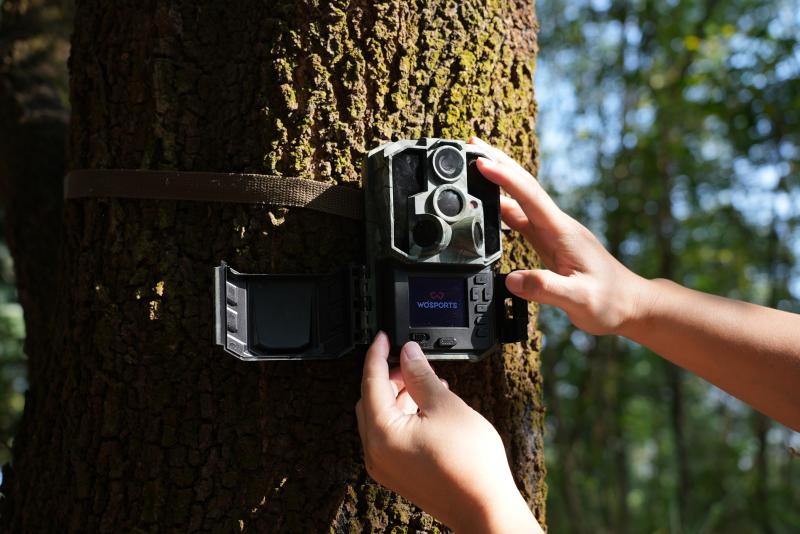 How to Manage Trail Camera Data Efficiently?