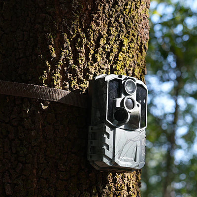 How to Deploy Multiple Trail Cameras Efficiently in Natural Reserves?