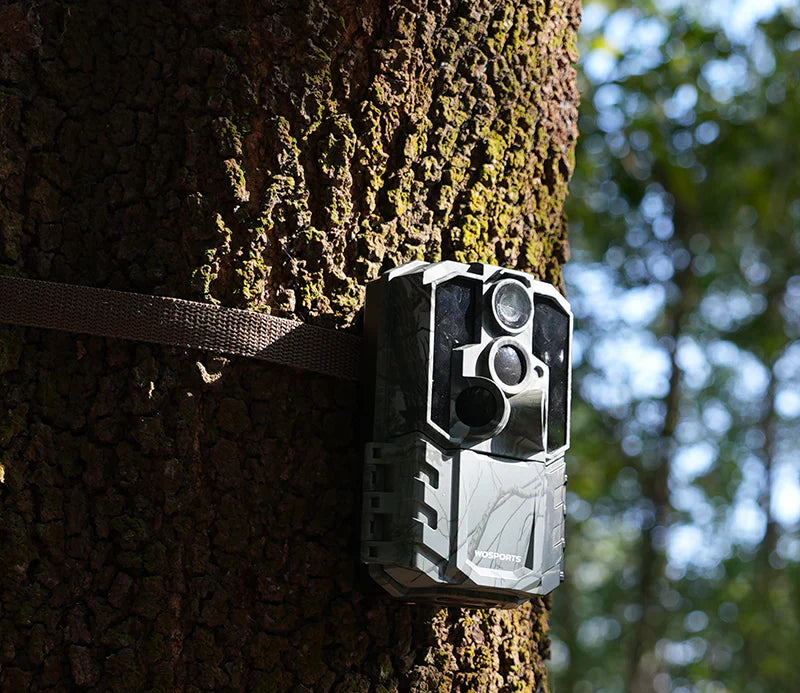 How to Deploy Multiple Trail Cameras Efficiently in Natural Reserves?