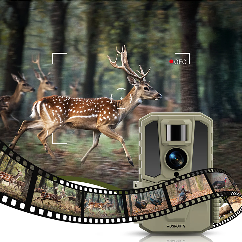 Why Trail Camera Trigger Speed Matters: A Complete Guide