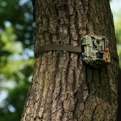 OEM vs ODM Trail Camera: How to Choose the Right Manufacturers