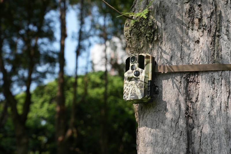 trail cameras for pre-season scouting