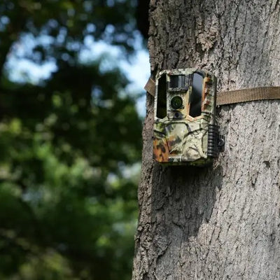 How to Get the Most Out of Your Pre-Season Trail Cameras [Expert Guide]