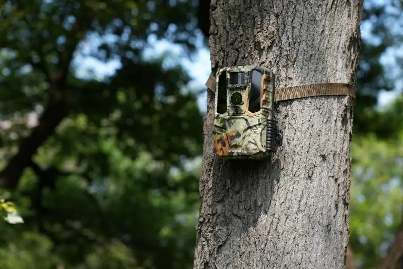 How to Get the Most Out of Your Pre-Season Trail Cameras [Expert Guide]