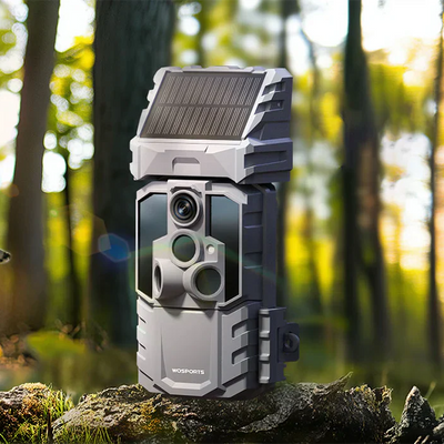 Are Solar-Powered Trail Cameras Worth It for Large-Scale Deployment?