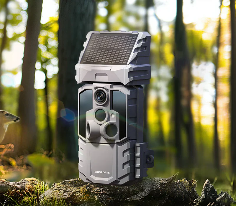Are Solar-Powered Trail Cameras Worth It for Large-Scale Deployment?