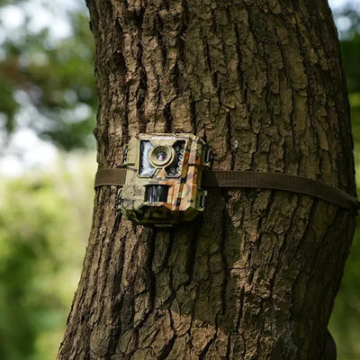 Top 9 Common Mistakes When Using Trail Cameras