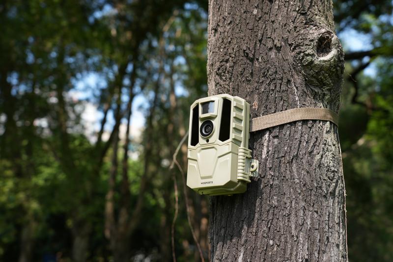 How to Become a Trail Camera Dealer