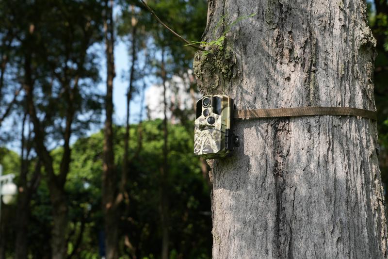 Trail Camera for Security: How to Use It to Protect Your Property