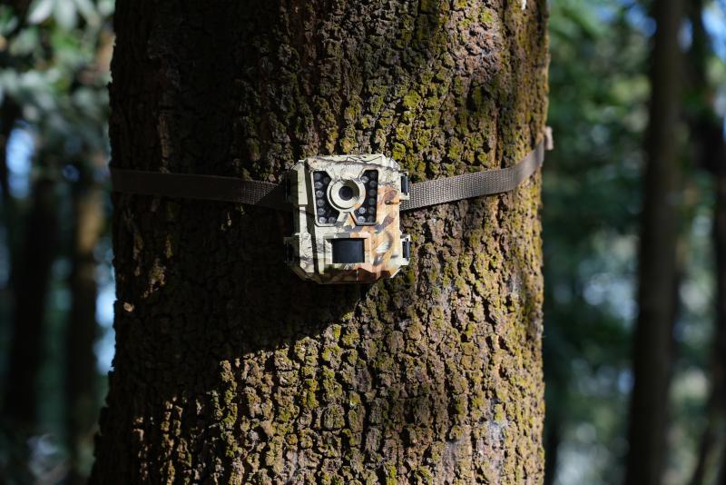 Useful Trail Camera Setup Tips for Optimal Performance