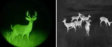 How Night Vision Works