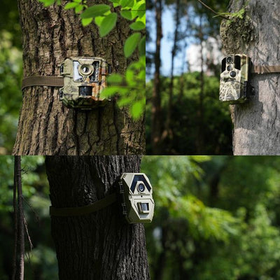 Where to Place Trail Cameras for Effective Pre-Season Deer Scouting