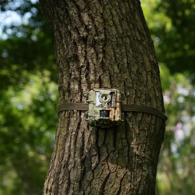 Wildlife Trail Camera Buying Guide: What Matter Most?