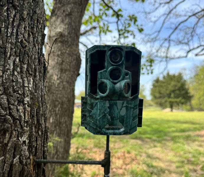 How to Use a Trail Camera for Your Backyard