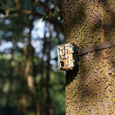 How to Evaluate Trail Camera Suppliers for Bulk Orders