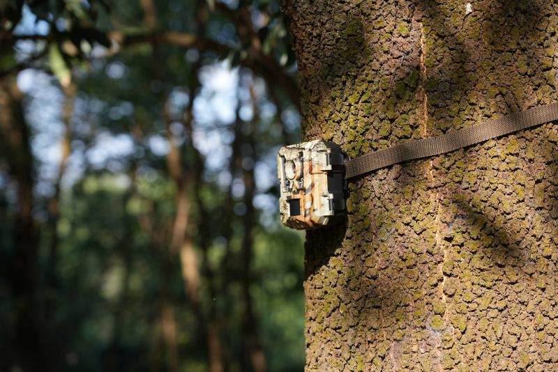 How to Evaluate Trail Camera Suppliers for Bulk Orders